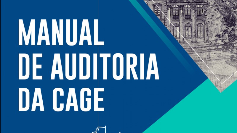 Manual de Auditoria 2025